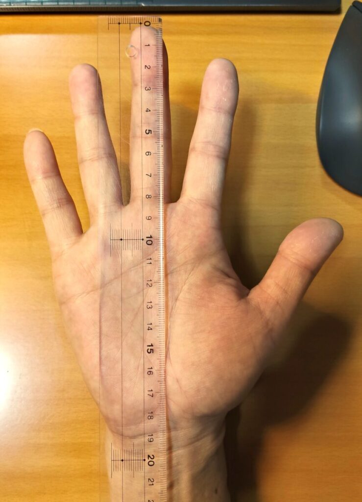 定規で中指先端から手のひら下までの手長185mmを測る様子